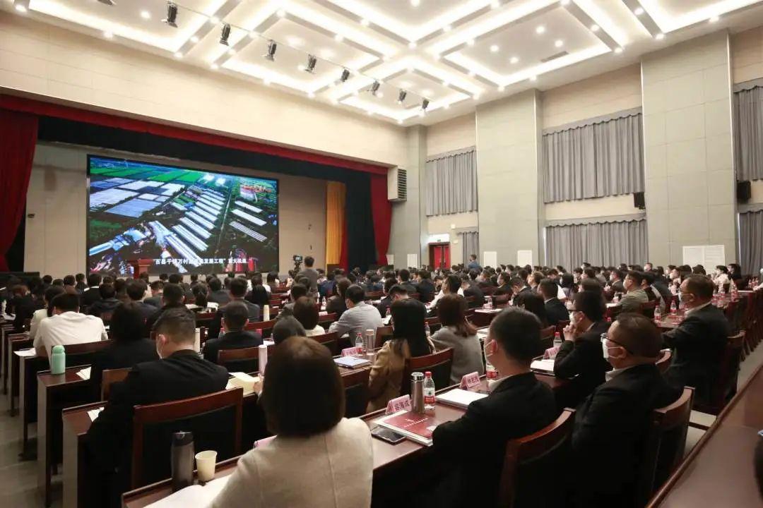 2025新澳门和香港精准正版免费全面释义、解释与落实