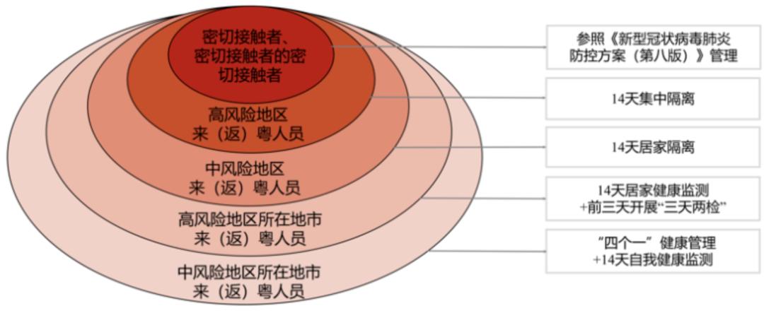 澳门一码一码100准确天天,详细解答、解释与落实