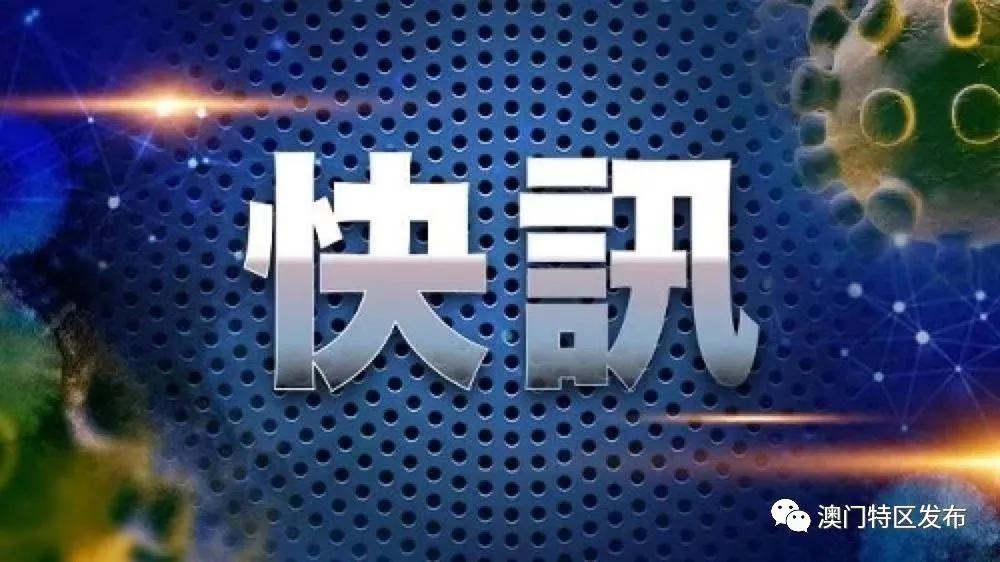 澳门一码一码100准确天天,详细解答、解释与落实