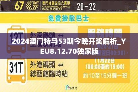 2025今晚澳门开特马开什么,探寻今晚澳门赛马的精彩赛事