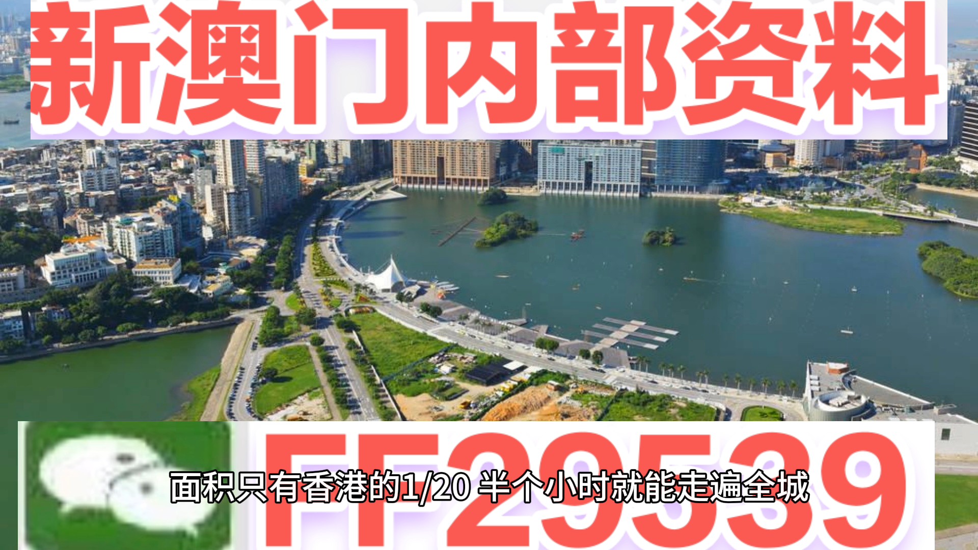 咨询 第78页