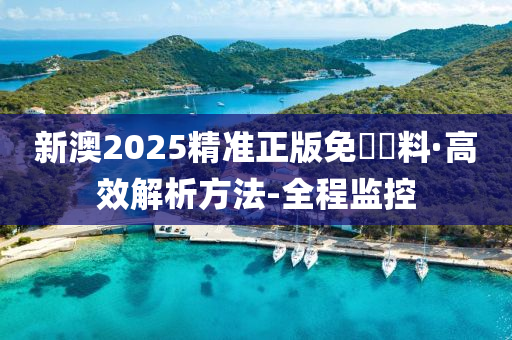 新澳2025精准正版免費資料,警惕虚假宣传,全面解释落实