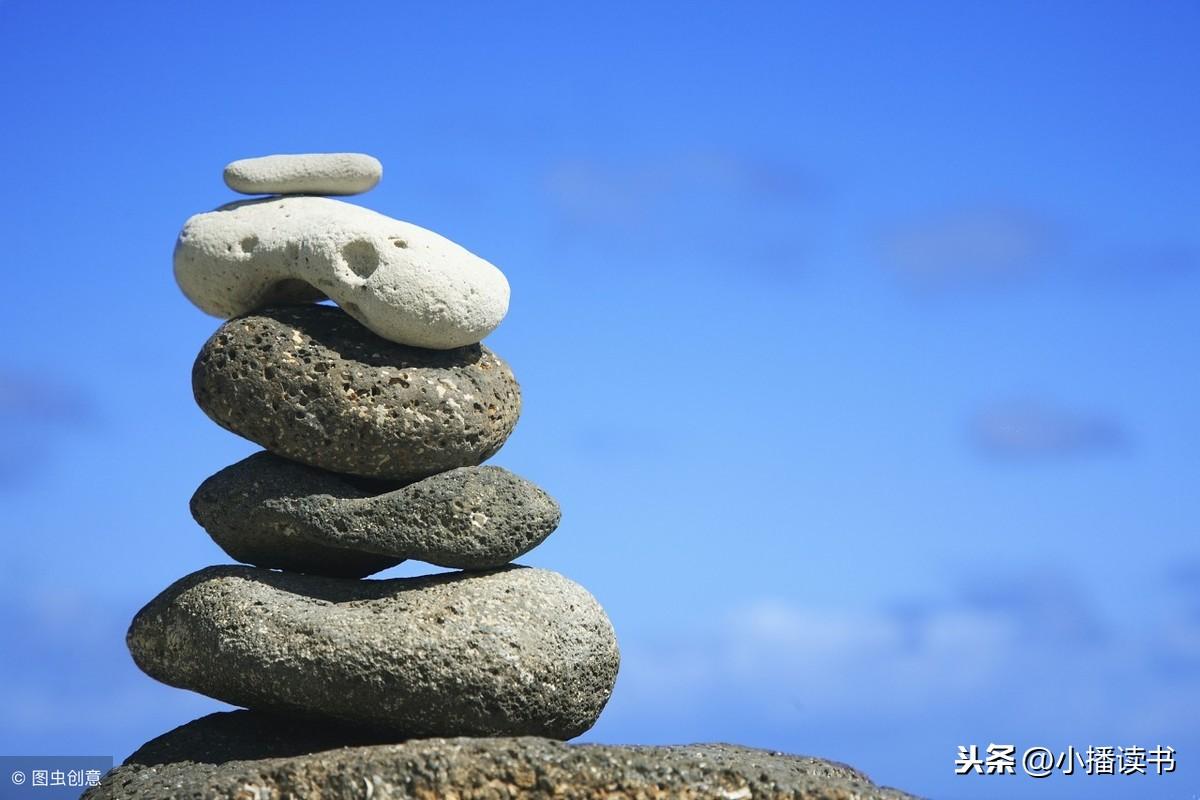 今晚四不像一肖图今晚四不像吧,构建解答解释落实